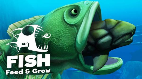 Feed And Grow Fish Download - GameFabrique