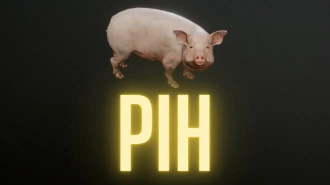 Download game Pih Build 18259098 latest version